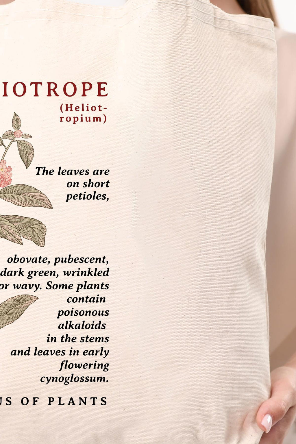 Siyah Kulplu Krem Kanvas Heliotrope Baskılı Bez Çanta
